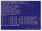 Bash Foreach Loop
