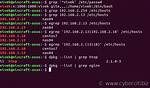 Bash: Grep Pattern from Command Output