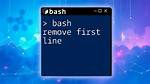 Bash: Iterating over Lines in a Variable