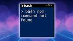 Bash: Npm: Command Not Found?