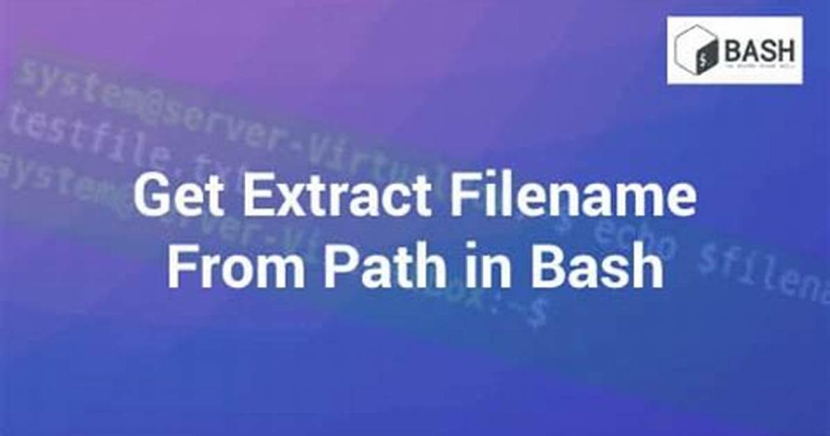 Bash Parse Filename