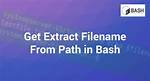 Bash Parse Filename