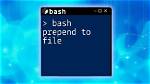 Bash - Prepend Zero to Single Digit in While Loop