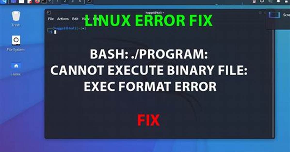 Bash: ./Program: Cannot Execute Binary File: Exec Format Error
