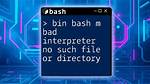 Bash Script and /Bin/Bash^m: Bad Interpreter: No Such File or Directory [Duplicate]