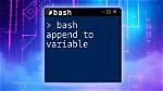 Bash Script Append Variable to File