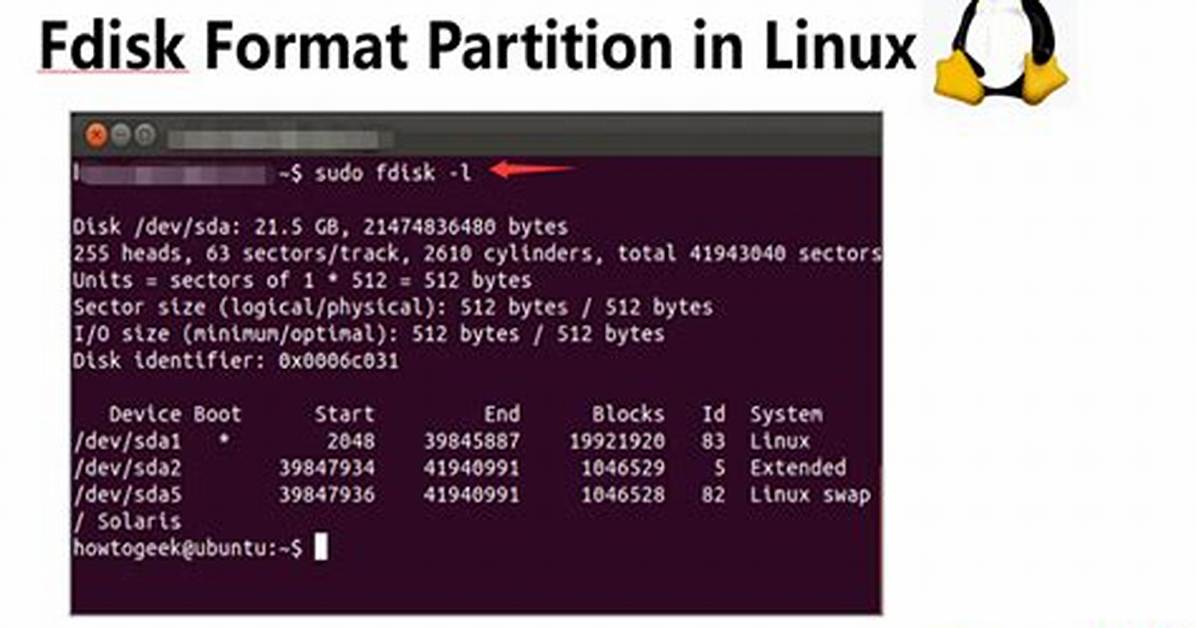 Bash Script Disk Partition Using Fdisk Command