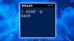 Bash Script Read -P