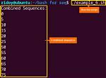 Bash Script to Convert Multiple Image Sequences to Video Files