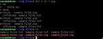 Bash Script to Unzip Multiple Files