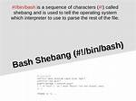 Bash Shebang for Dummies?