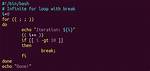 Bash Shell Nested for Loop