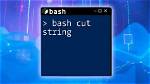 Bash: Using "Cut -C" on the Strings with Spaces Like "? .?"