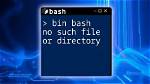 Bash: /Usr/Bin/Php: No Such File or Directory [Closed]