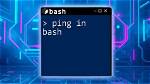 Bash Wait for a Ping Success