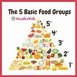 Basic Food Groups