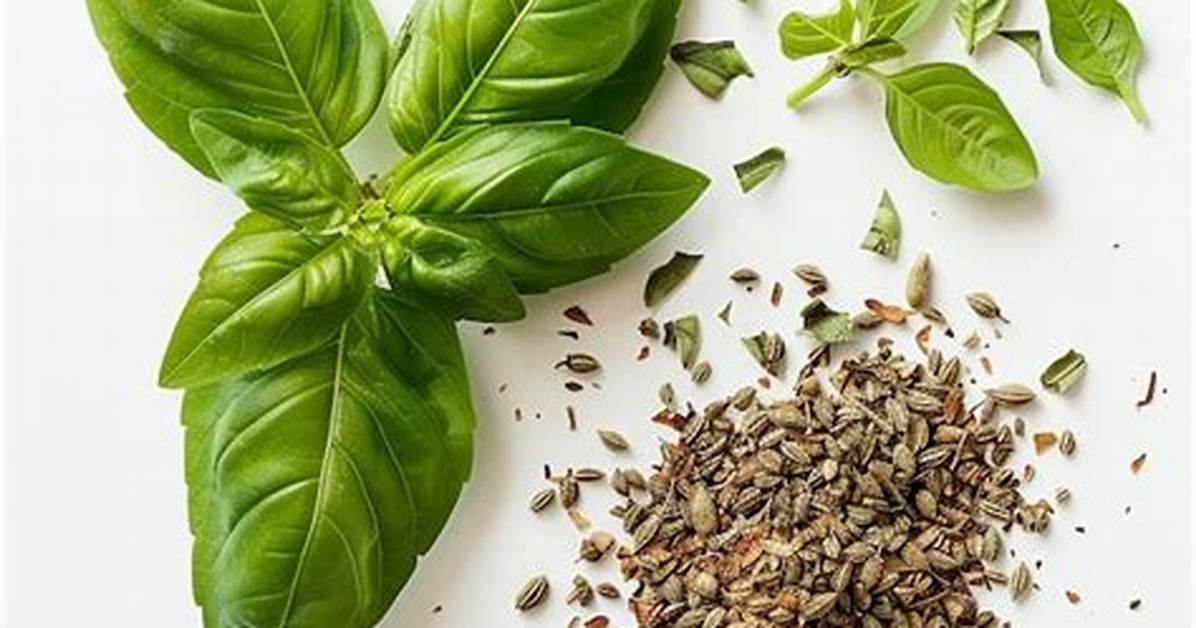 Basil Spice