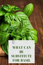 Basil Substitute