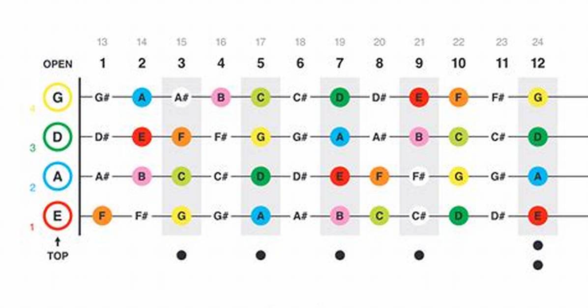 Bass Strings Notes