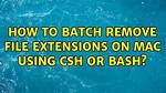 Batch: Remove File Extension