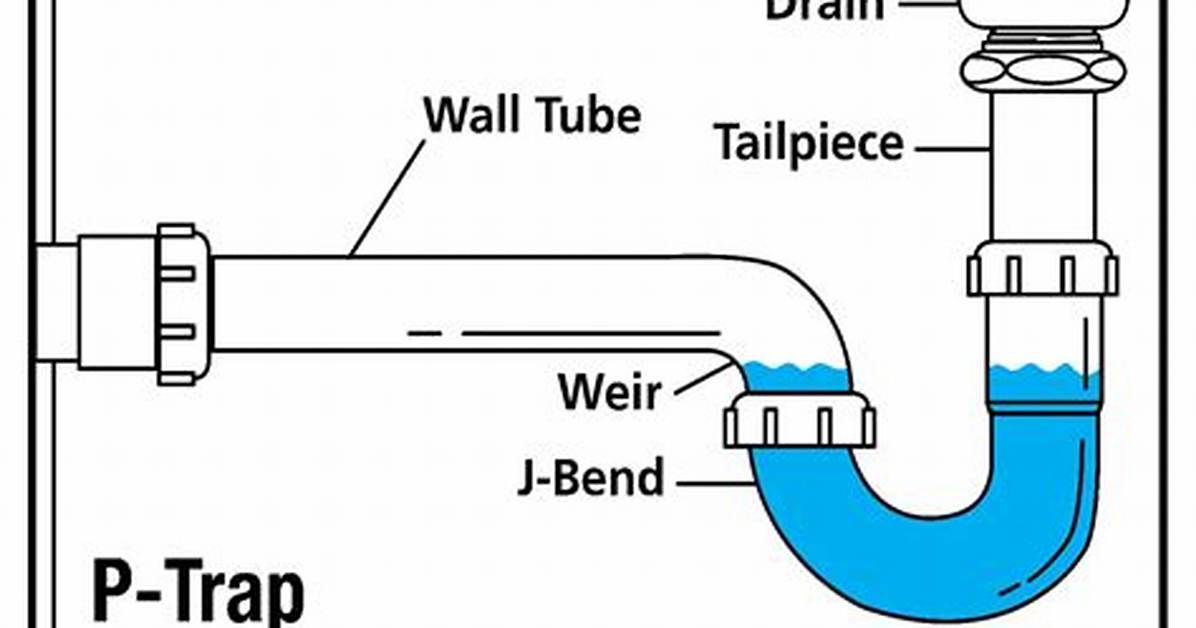 Bath P Trap