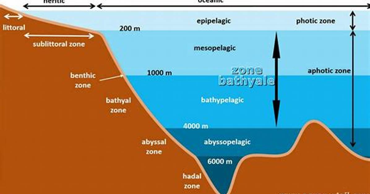Bathyal Zone
