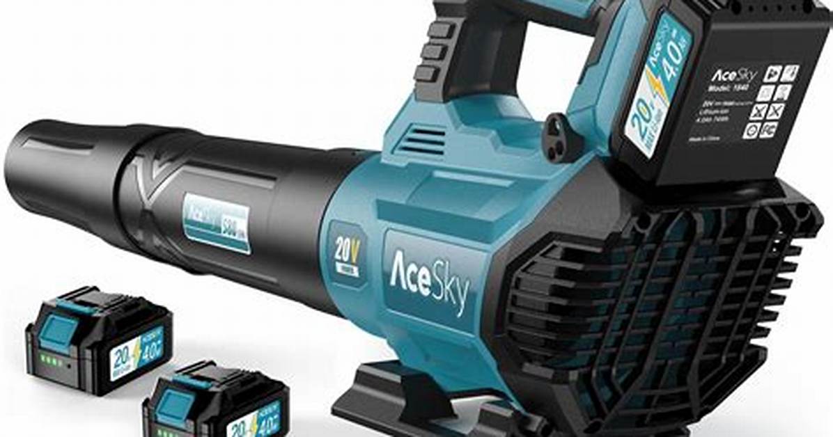 Battery Powered Blower