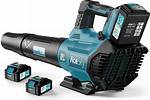 Battery Powered Blower