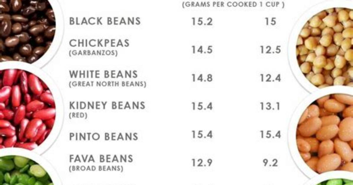 Beans Calories