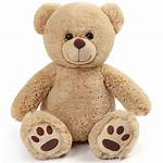 ___ Bear (Stuffed Toy)