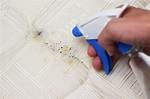 Bed Bug Stains