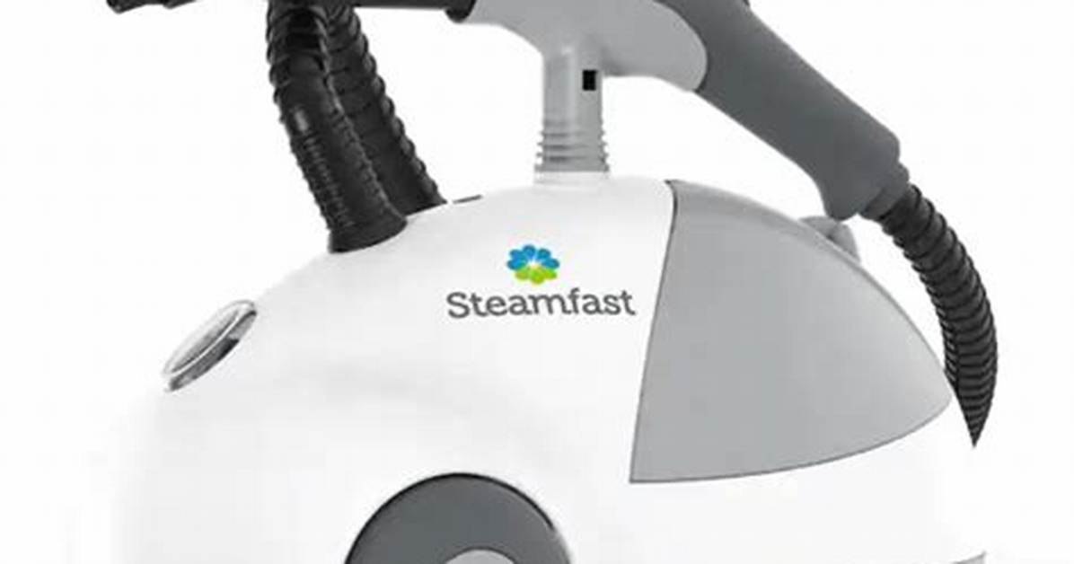 Bed Bug Steamer