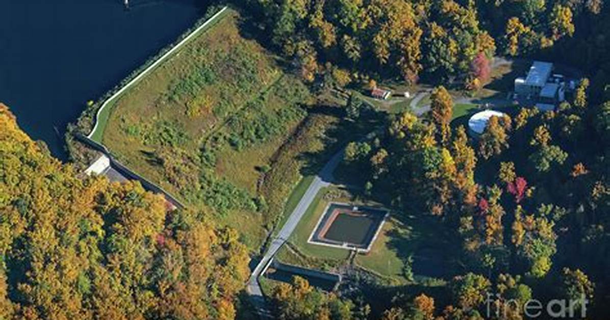 Bee Tree Reservoir: a Comprehensive Guide to Nature's Hidden Gem
