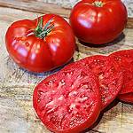Beefmaster Tomato
