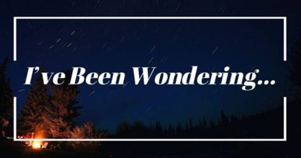 ___ Been Wondering. ..
