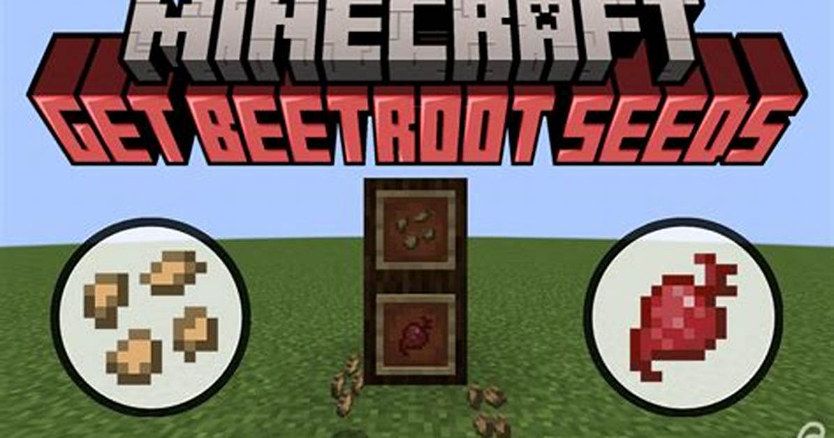 Beetroot Minecraft