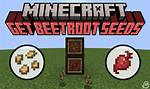 Beetroot Minecraft