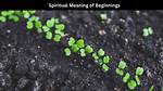 Beginnings Meaning