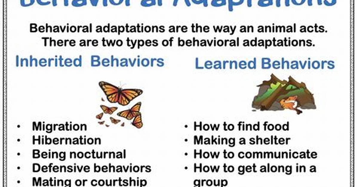 Behavioral Adaptations