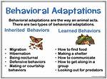Behavioral Adaptations