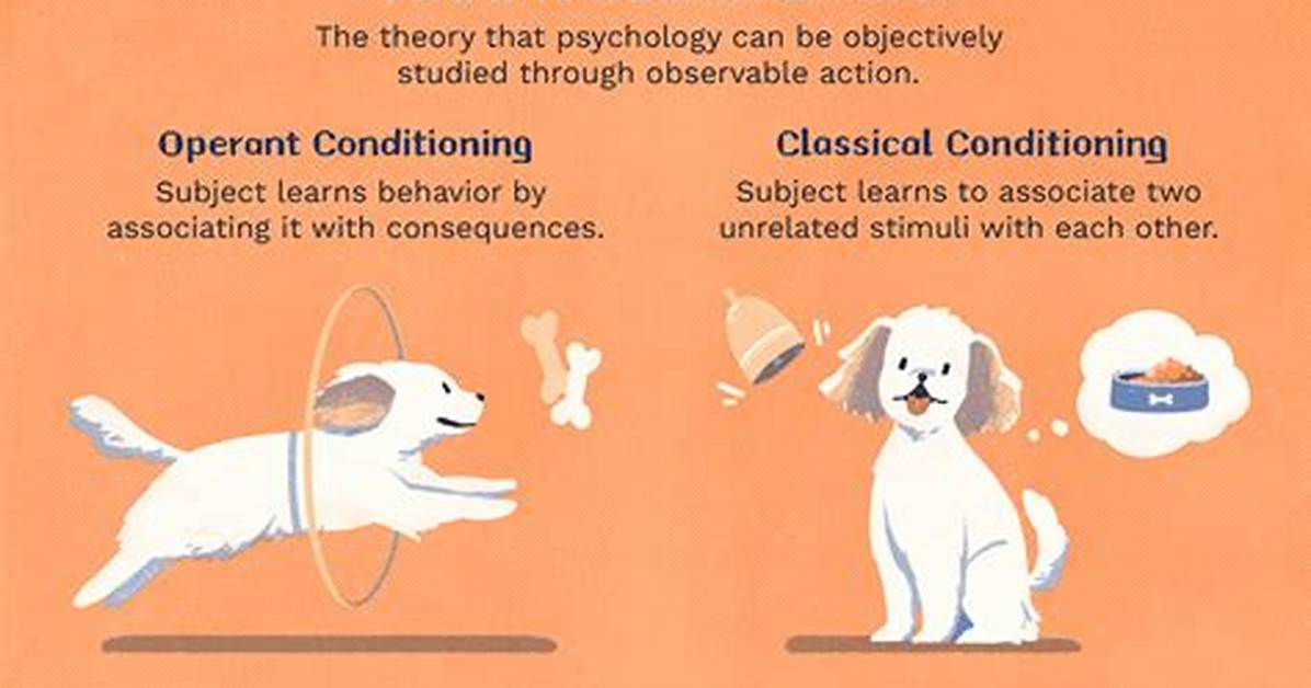 Behaviorism Definition