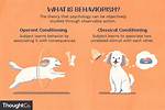 Behaviorism Definition