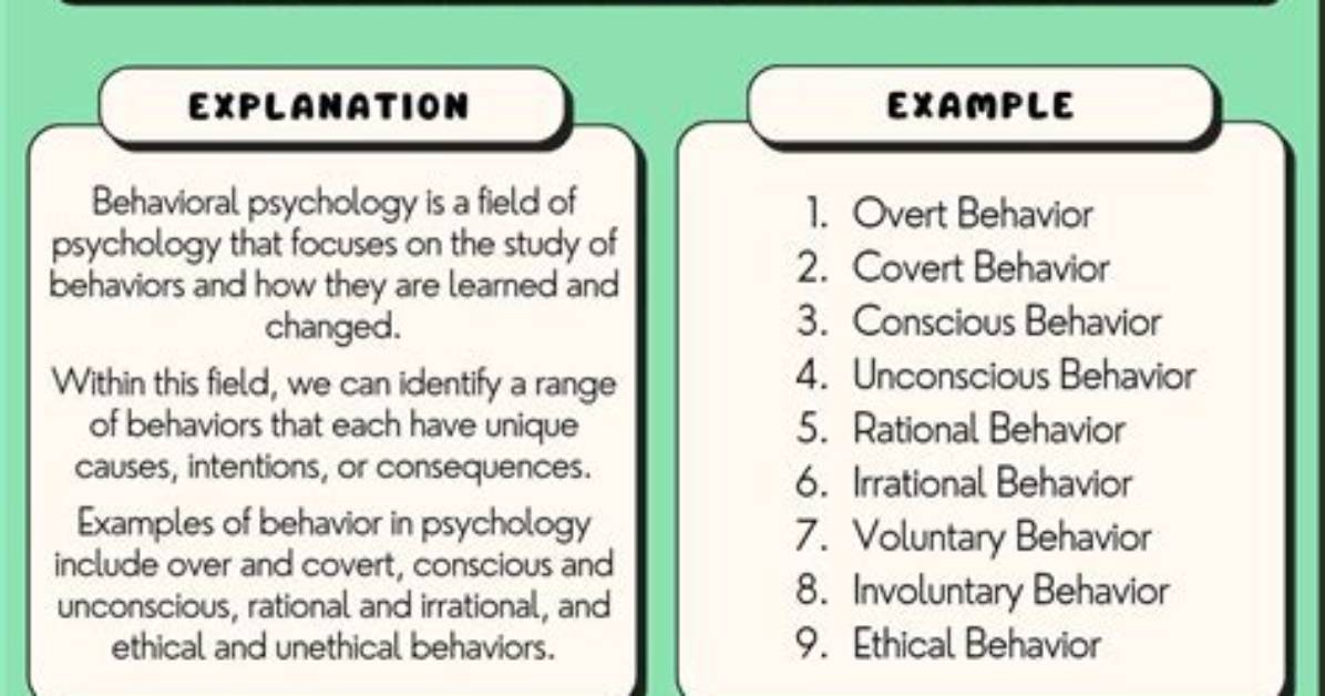 Behaviour Meaning
