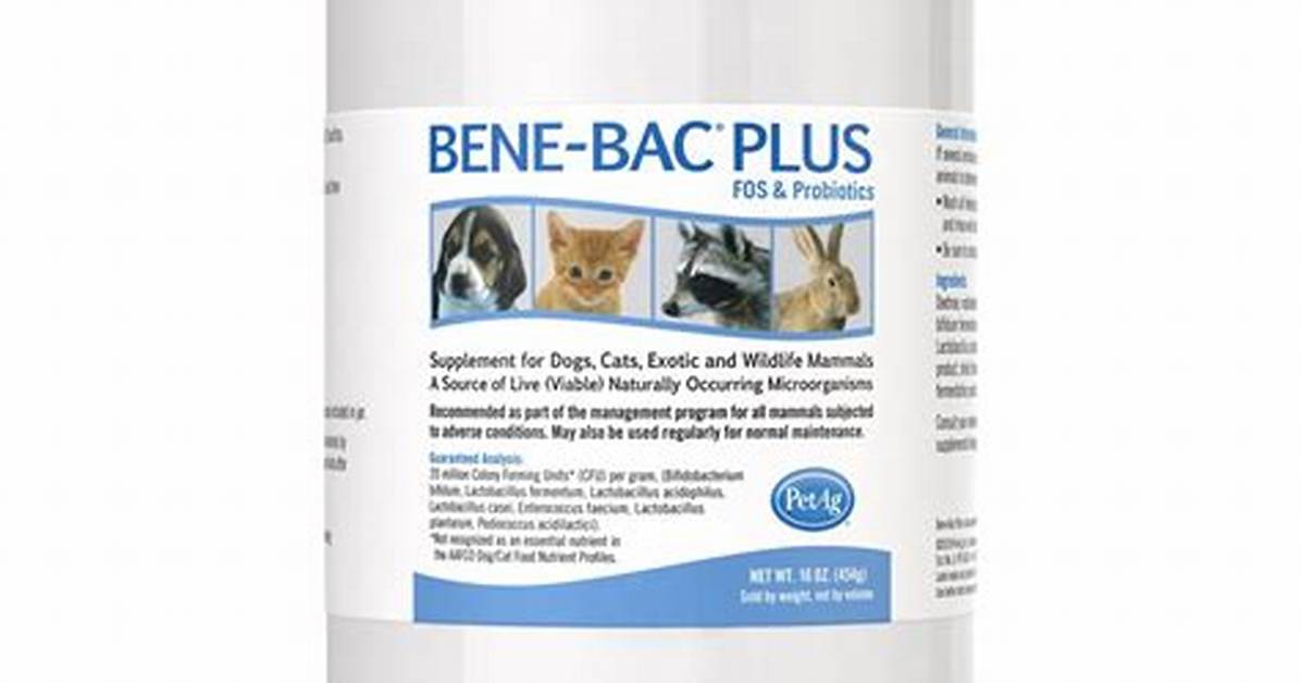 Bene Bac Plus
