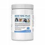 Bene Bac Plus