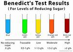 Benedict’s Solution