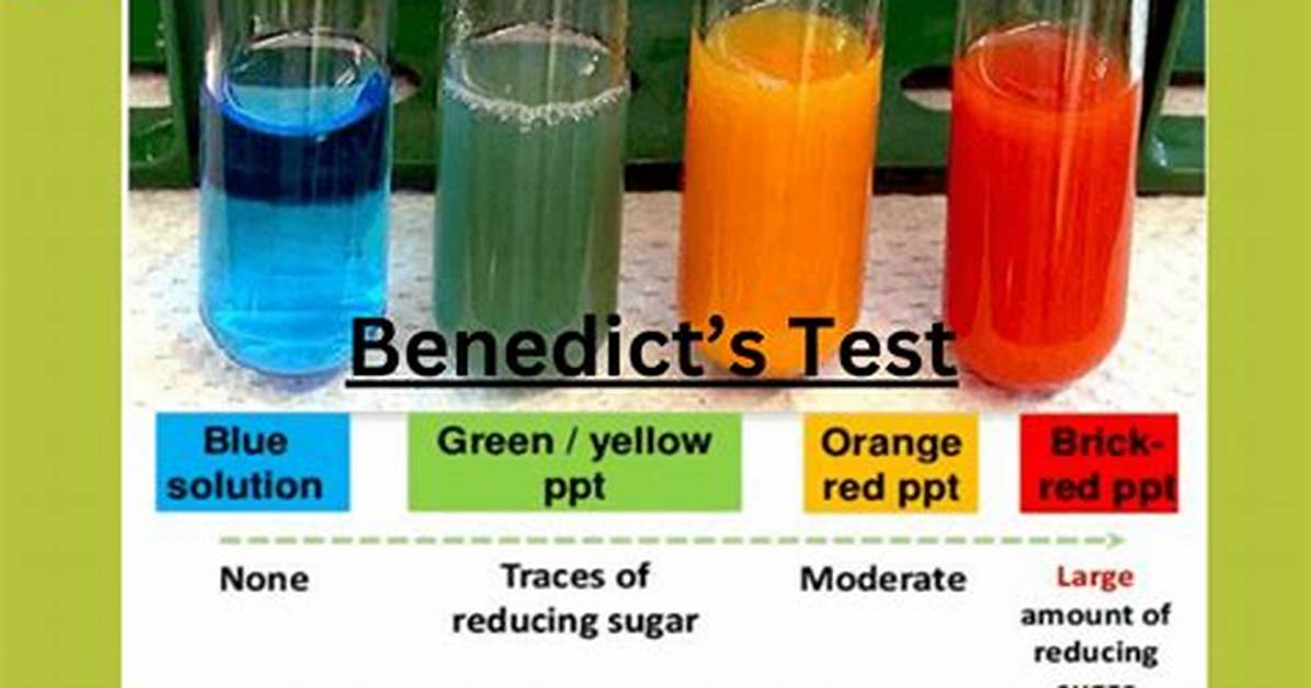 Benedict Test