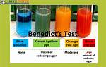 Benedict Test