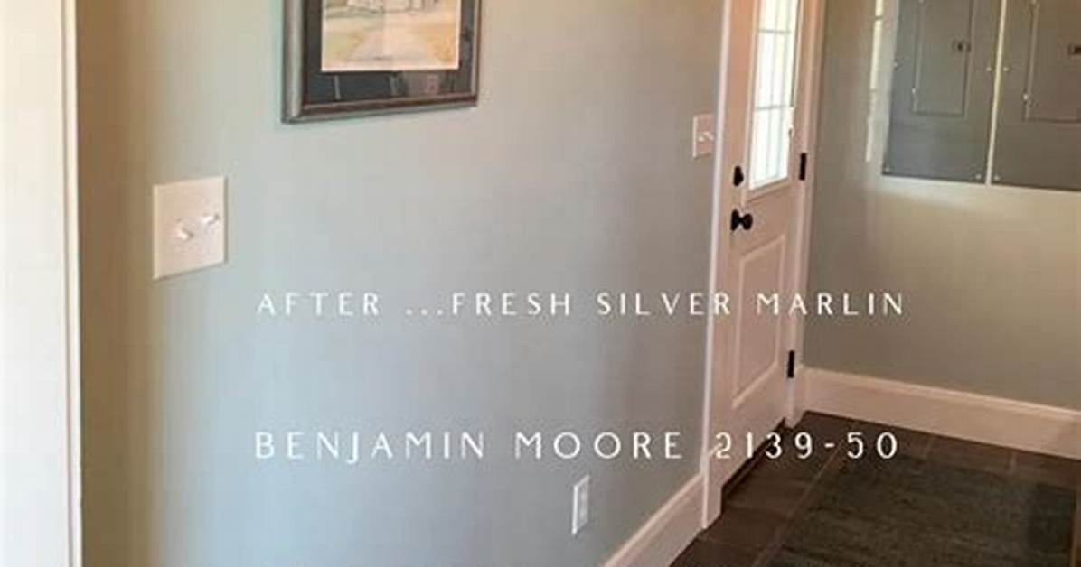 Benjamin Moore Silver Marlin