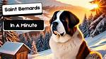 Bernard